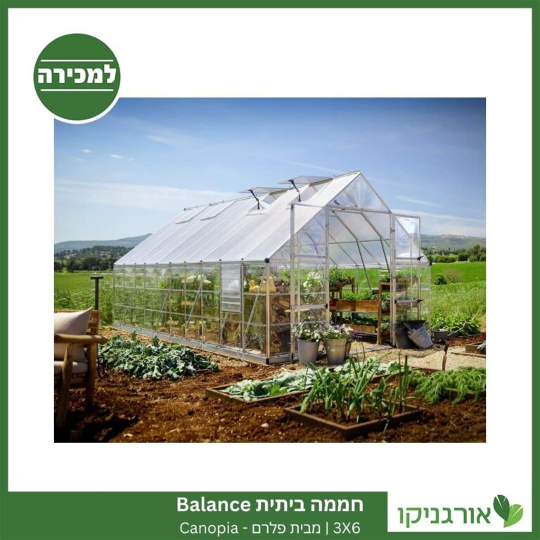 חממה ביתית עם קירות שקופים לגידול ירקות וצמחים