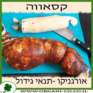 קסאווה - יוקה - טפיוקה - תנאי גידול