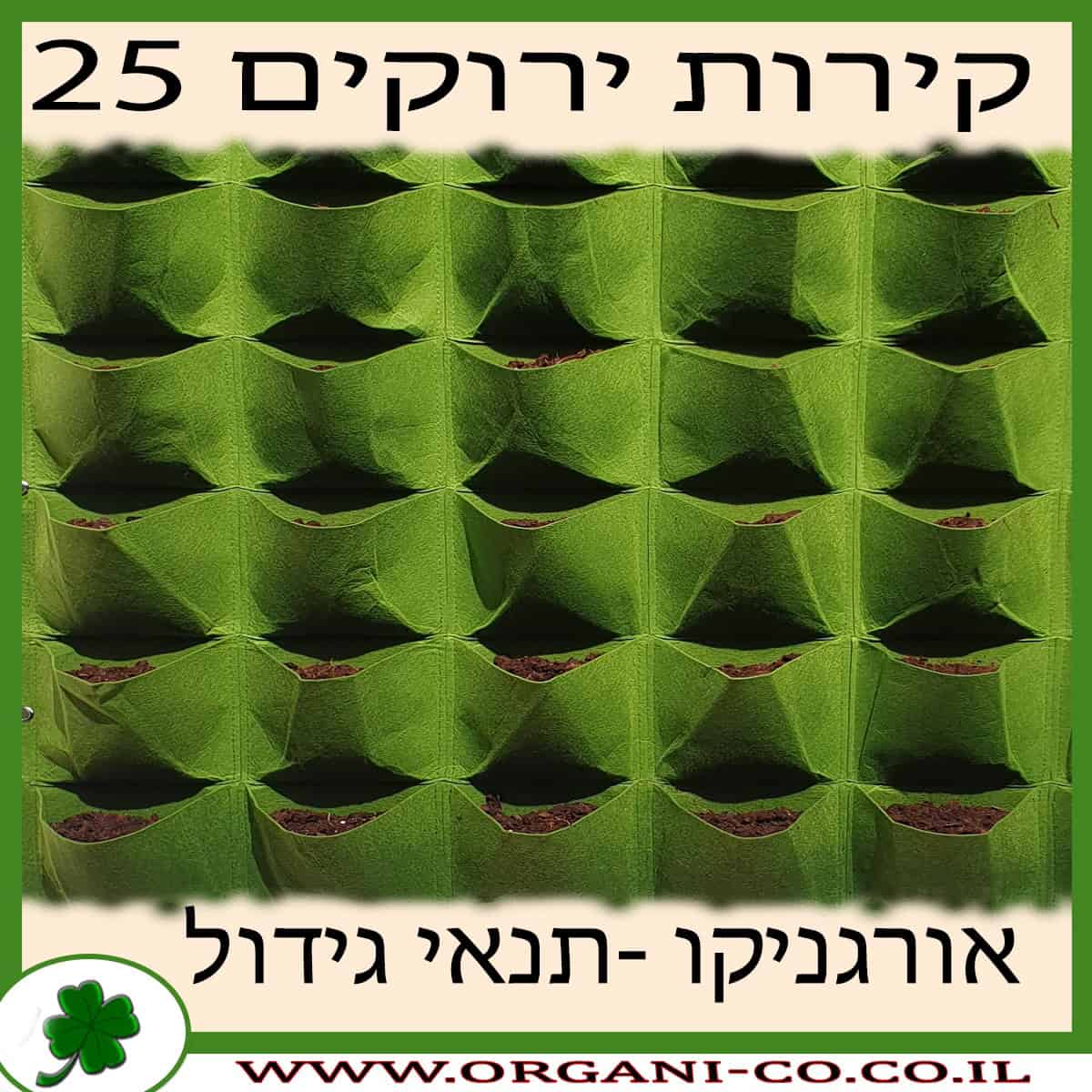 קיר ירוק 25