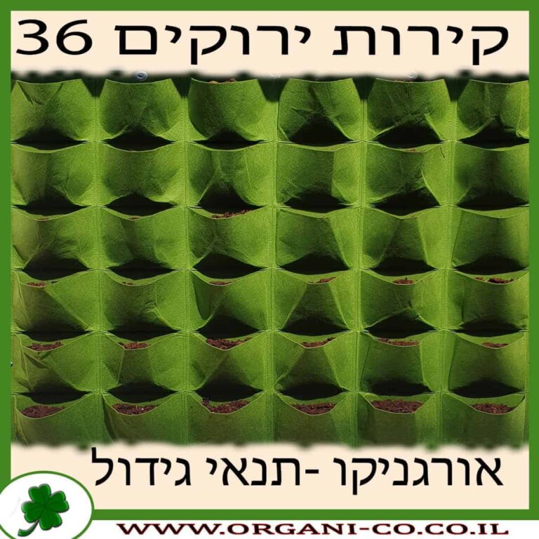 קיר ירוק 36