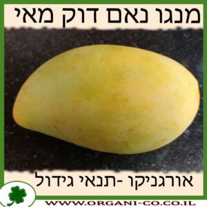 מנגו נאם דוק מאי