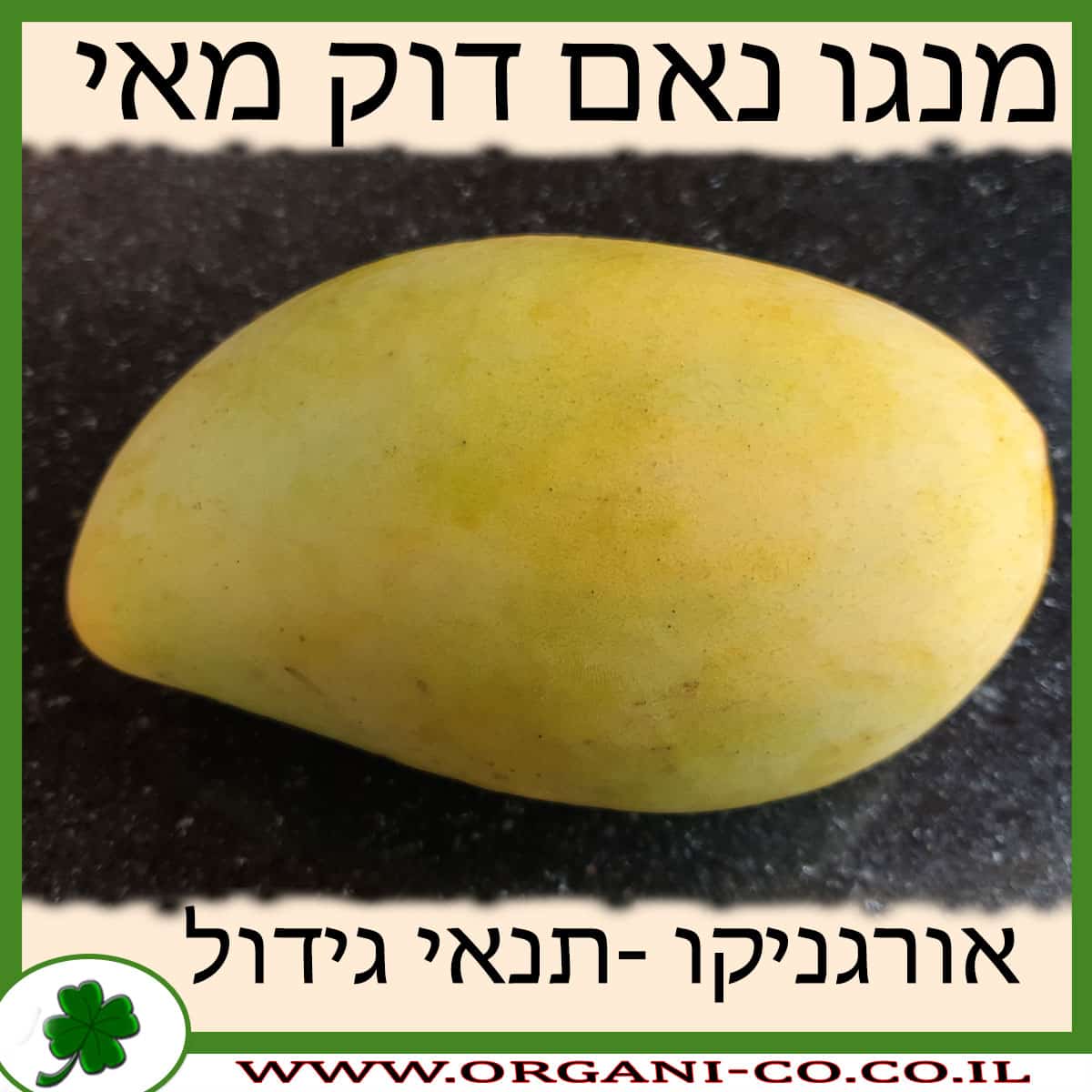 מנגו נאם דוק מאי