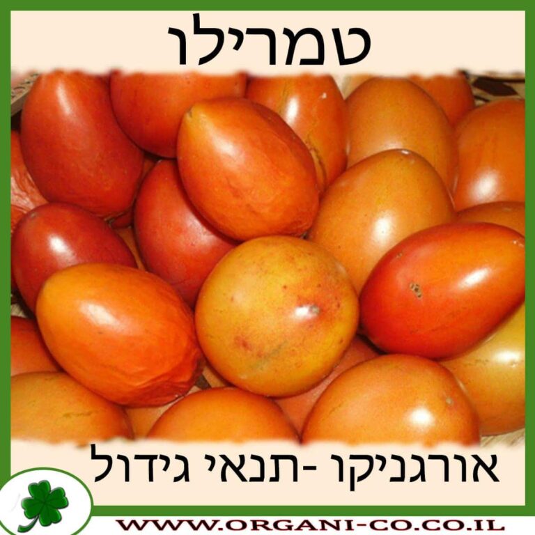 טמרילו