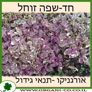 חד-שפה זוחל