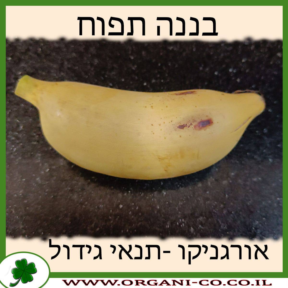 בננה תפוח