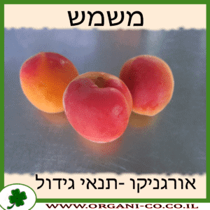 משמש גידול צמח