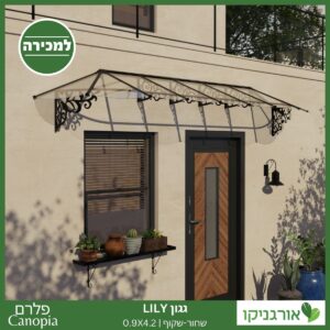 גגון Lily שחור-שקוף 0.9X4.2 בעיצוב רטרו מבית פלרם - Canopia 2