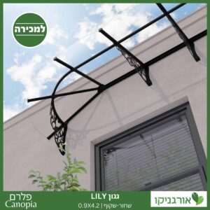 גגון Lily שחור-שקוף 0.9X4.2 בעיצוב רטרו מבית פלרם - Canopia 3