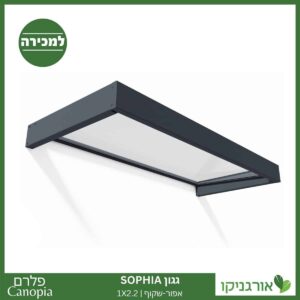 גגון Sophia אפור-שקוף 1X2.2 עיצוב מודרני מבית פלרם - Canopia 1