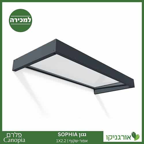גגון Sophia אפור-שקוף 1X2.2 עיצוב מודרני מבית פלרם - Canopia 1
