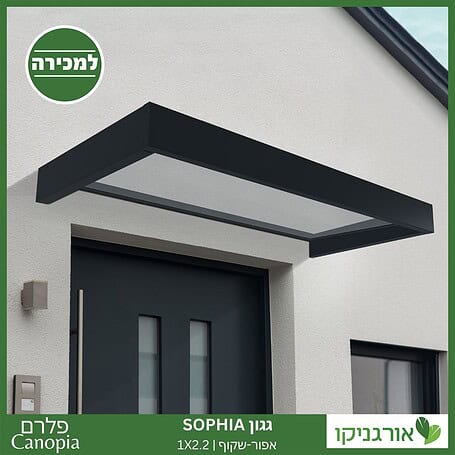גגון Sophia אפור-שקוף 1X2.2 עיצוב מודרני מבית פלרם - Canopia 2