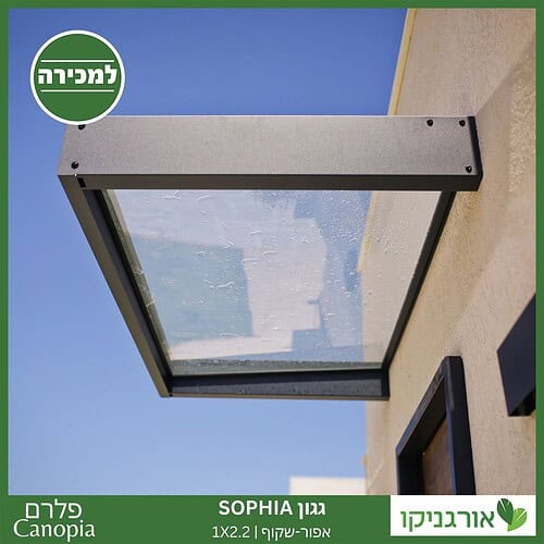 גגון Sophia אפור-שקוף 1X2.2 עיצוב מודרני מבית פלרם - Canopia 3