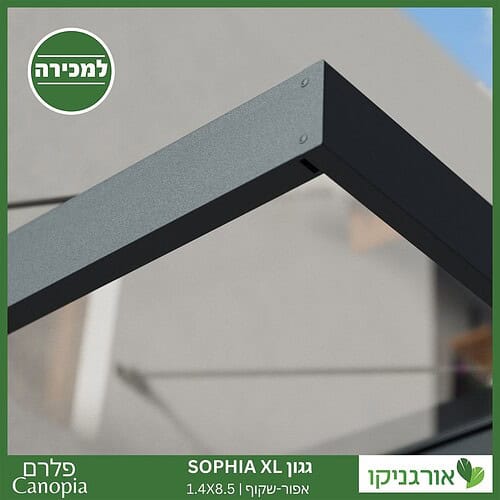 גגון Sophia XL אפור-שקוף 1.4X8.5 עיצוב מודרני מבית פלרם - Canopia 3