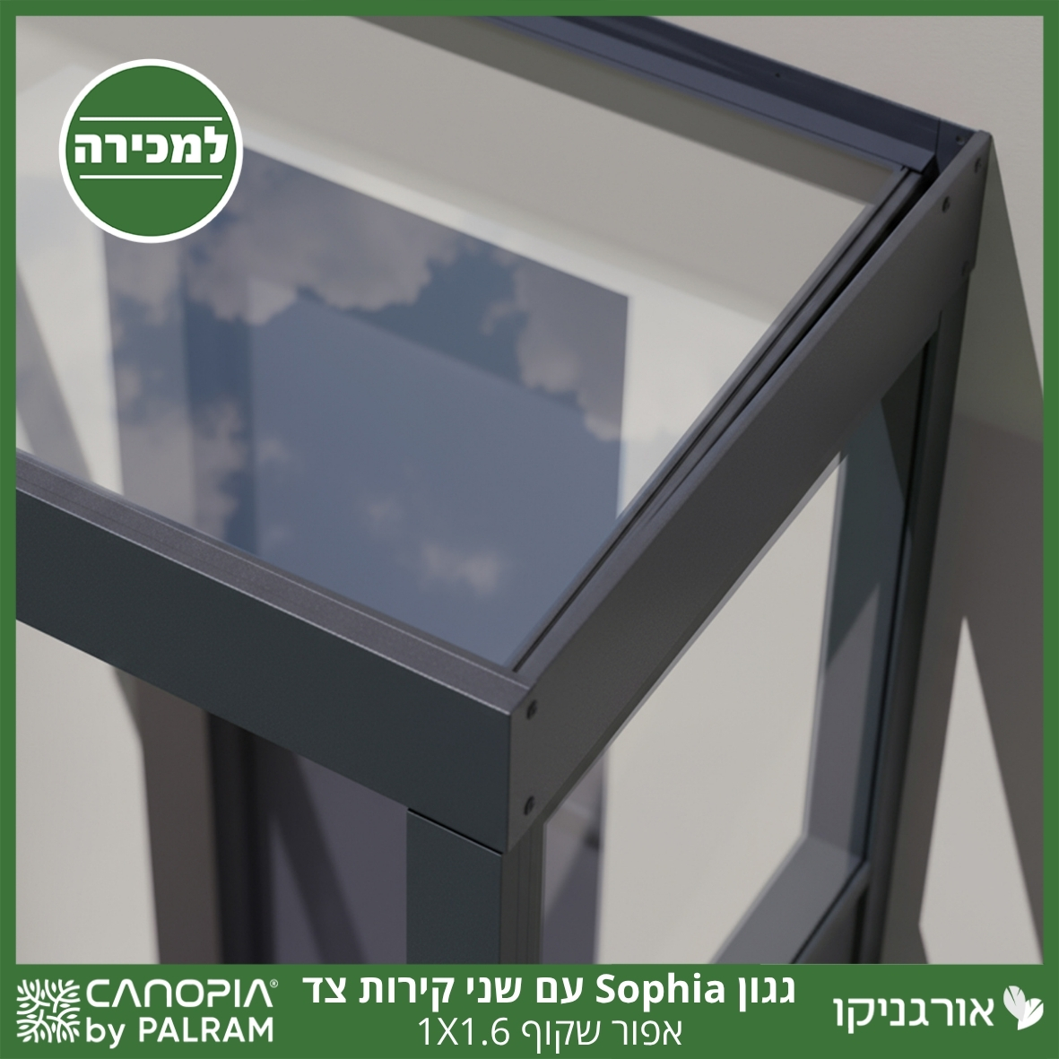 גגון Sophia אפור שקוף 1X1.6 עם שני קירות צד מבית פלרם - Canopia