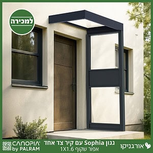 גגון Sophia אפור שקוף 1X1.6 עם קיר צד אחד מבית פלרם - Canopia