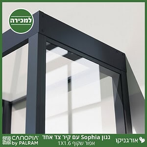 גגון Sophia אפור שקוף 1X1.6 עם קיר צד אחד מבית פלרם - Canopia