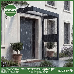 גגון Sophia אפור שקוף 1X2.2 עם קיר צד אחד מבית פלרם - Canopia