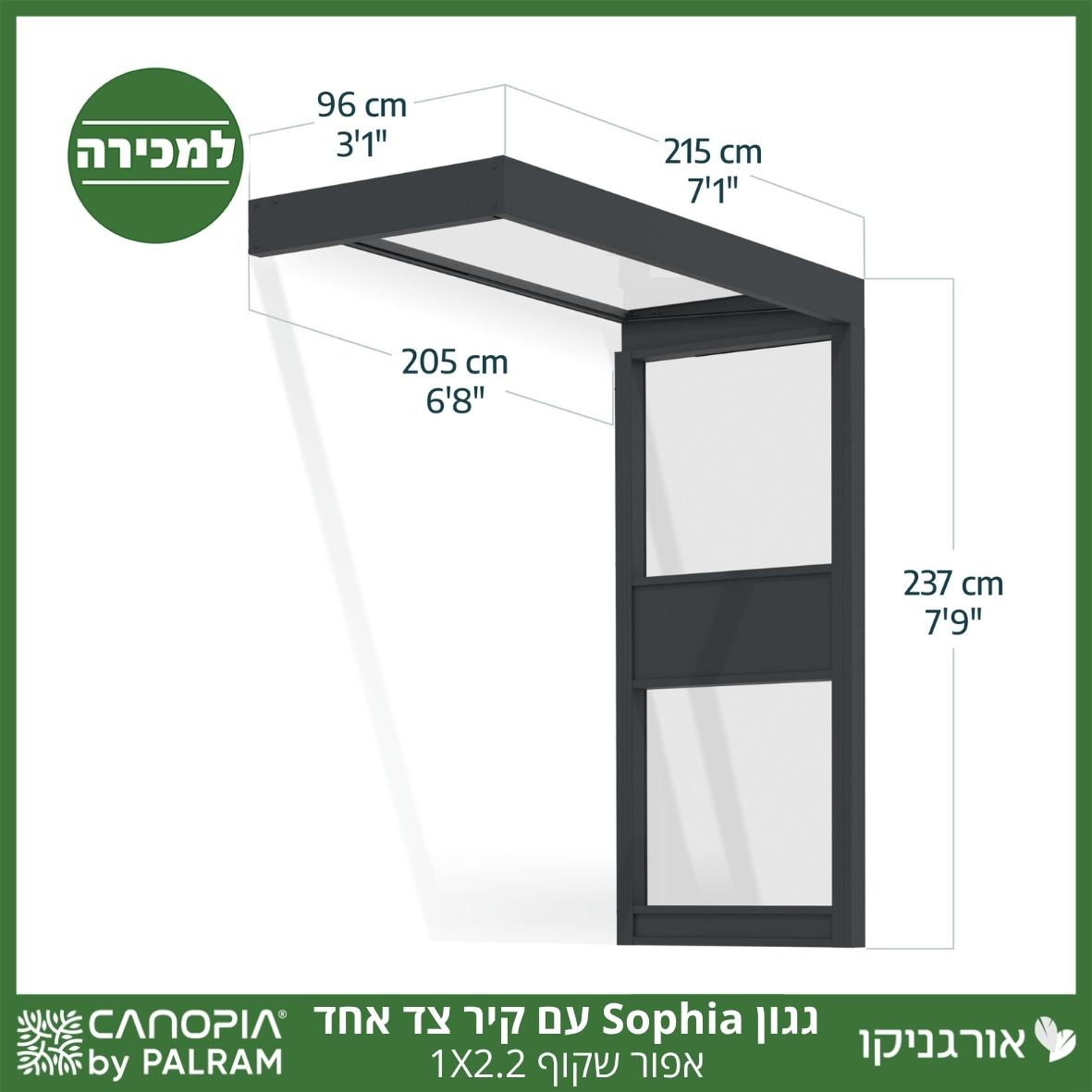 גגון Sophia אפור שקוף 1X2.2 עם קיר צד אחד מבית פלרם - Canopia