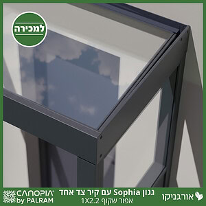 גגון Sophia אפור שקוף 1X2.2 עם קיר צד אחד מבית פלרם - Canopia