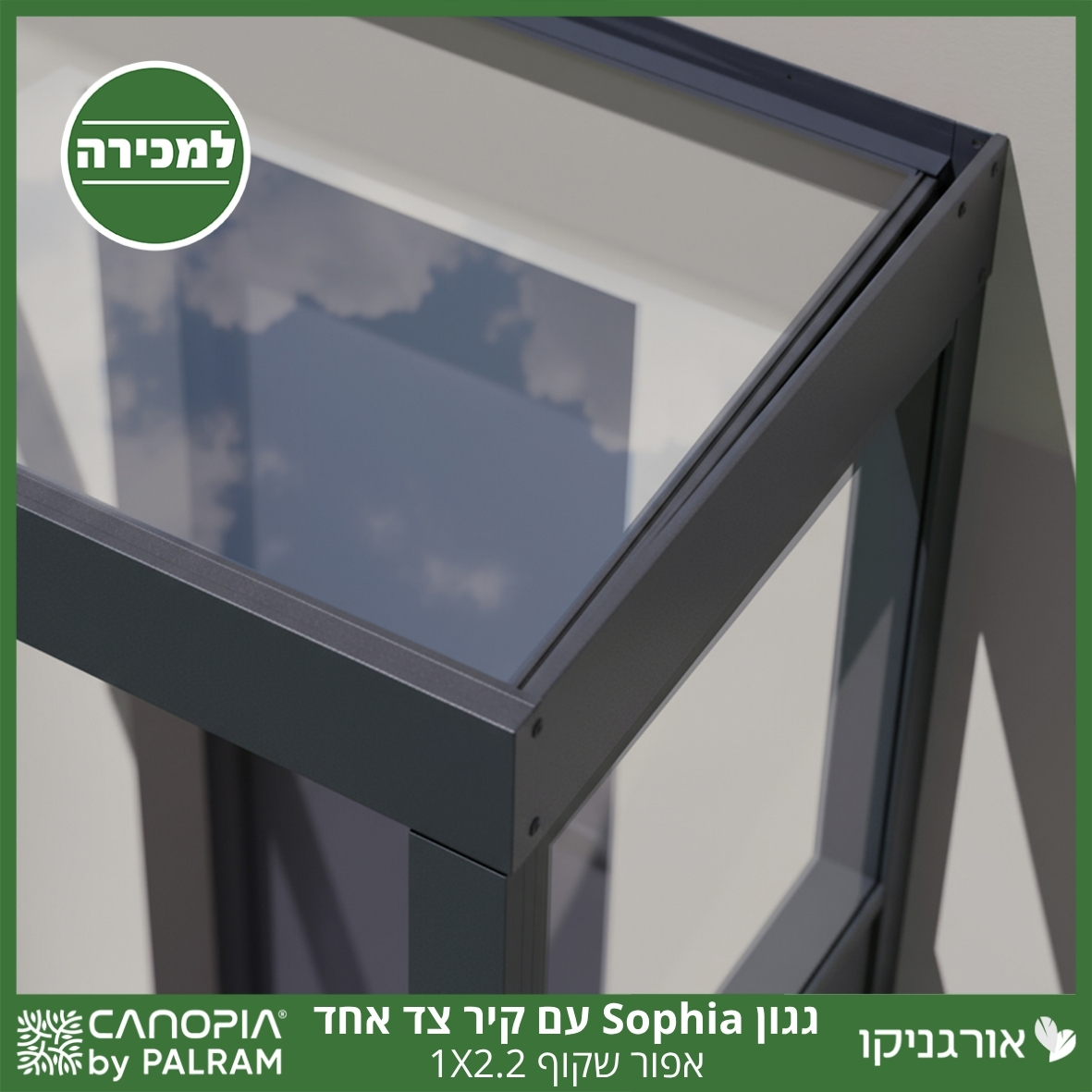 גגון Sophia אפור שקוף 1X2.2 עם קיר צד אחד מבית פלרם - Canopia