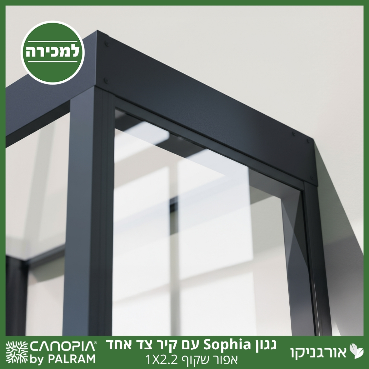 גגון Sophia אפור שקוף 1X2.2 עם קיר צד אחד מבית פלרם - Canopia
