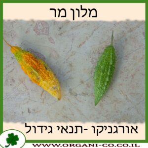 מלון מר