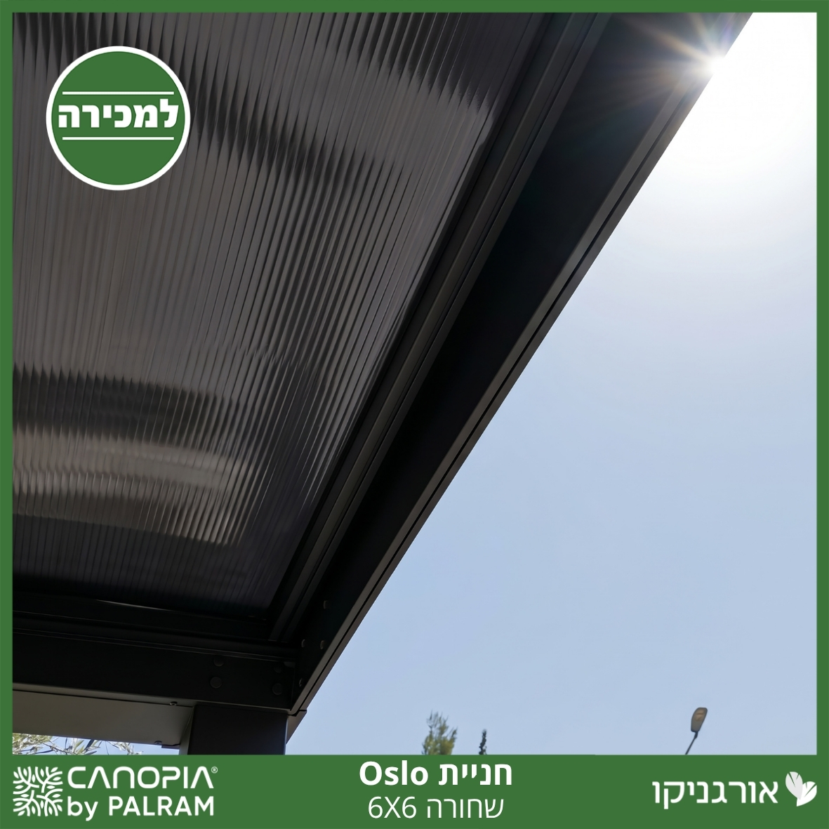 חניית Oslo שחורה 6X6 מבית פלרם - Canopia