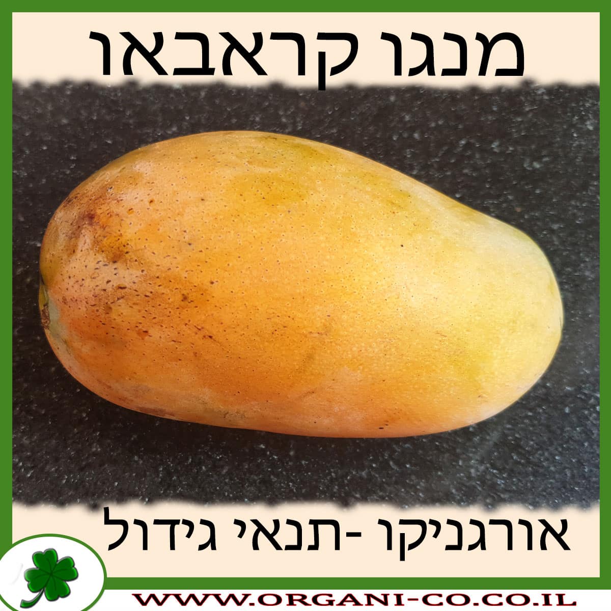 מנגו קראבאו