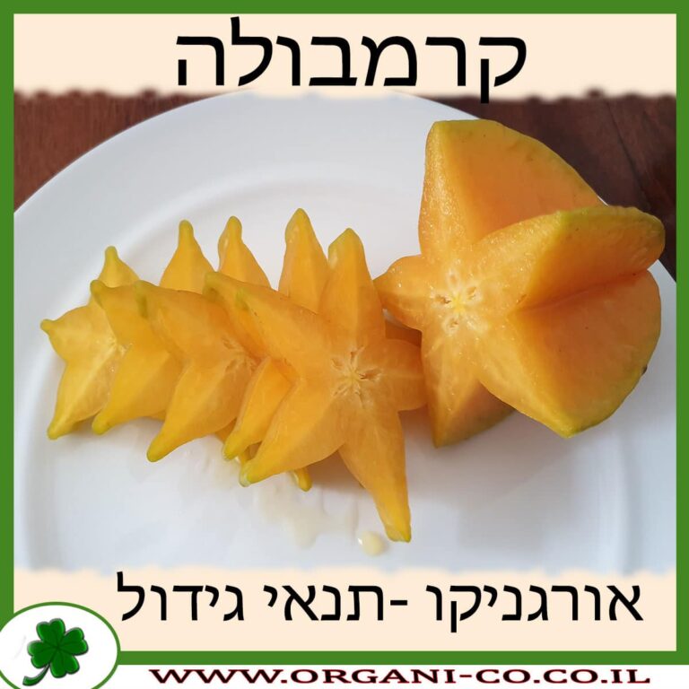 קרמבולה קרמבולה גידול צמח