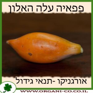 פפאיה עלה האלון