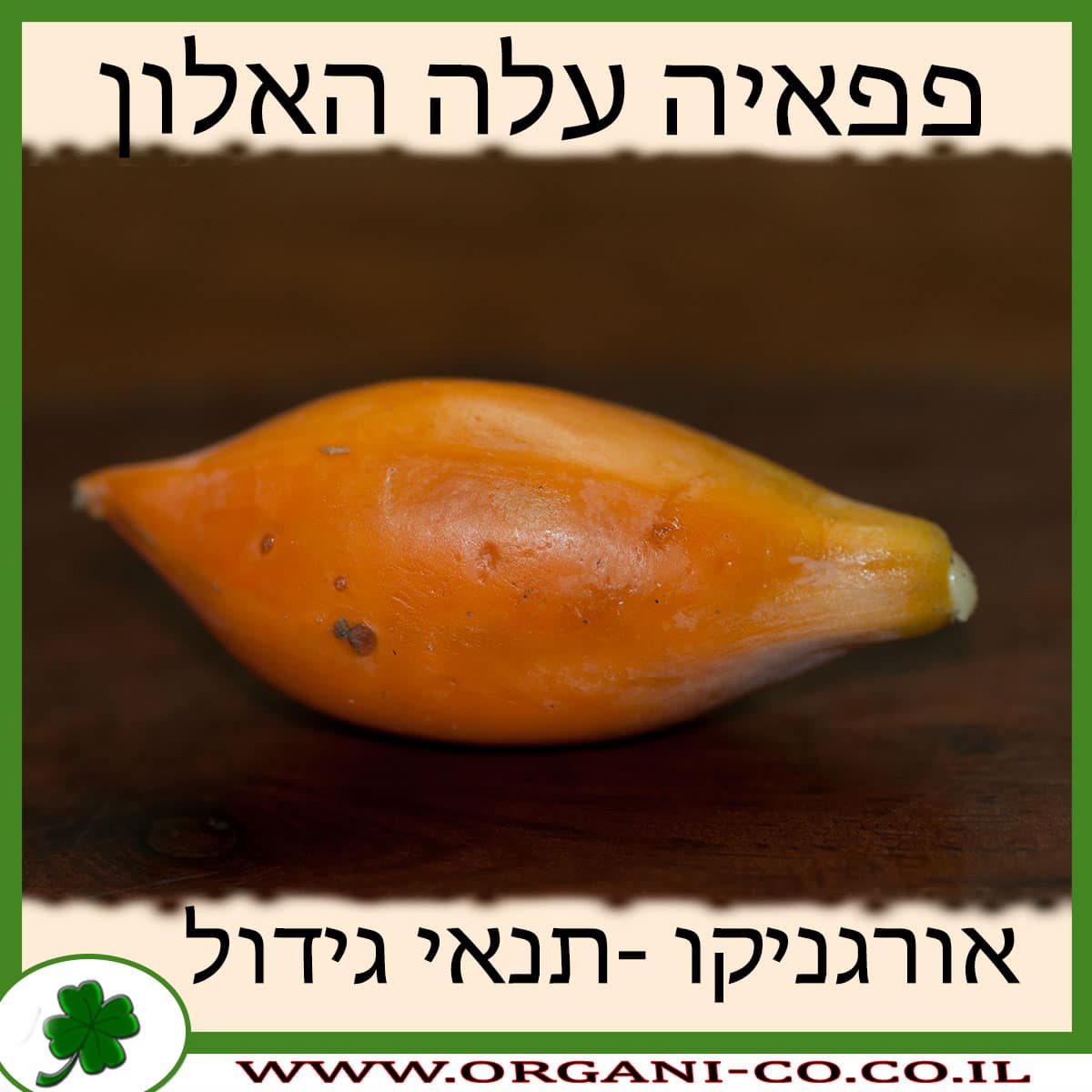 פפאיה עלה האלון