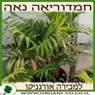 חמדוריאה אלגנס 25 ליטר למכירה - מחיר