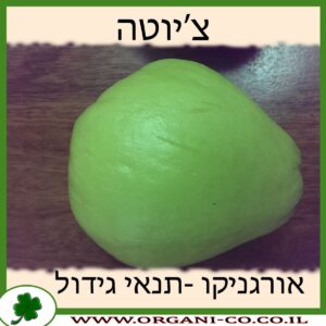 צ’יוטה