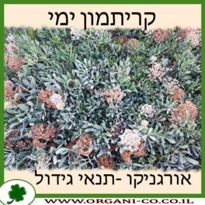 קריתמון ימי
