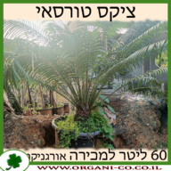 ציקס טורסאי 60 ליטר למכירה - מחיר