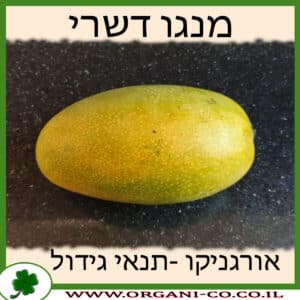 מנגו דשרי