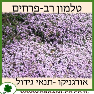 טלמון רב-פרחים