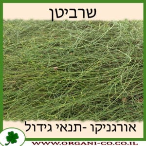 שרביטן