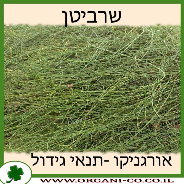 שרביטן