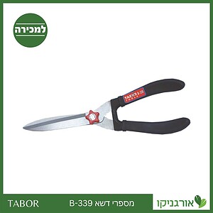 מספרי דשא B-339 -תבור