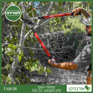 מספרי גיזום סדן מקצועי 12 GG -תבור