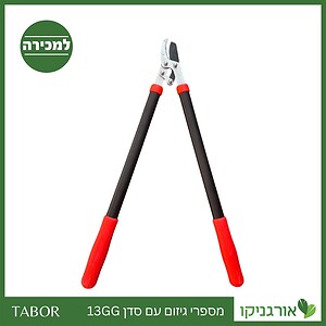 13GG מספרי גיזום עם סדן -תבור