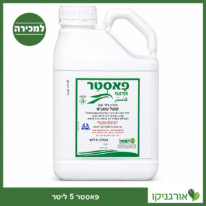 פאסטר