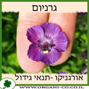 גרניום