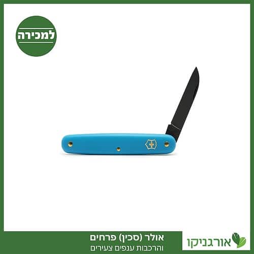 אולר (סכין) פרחים - ייחורים, הרכבות ענפים צעירים למכירה - מחיר
