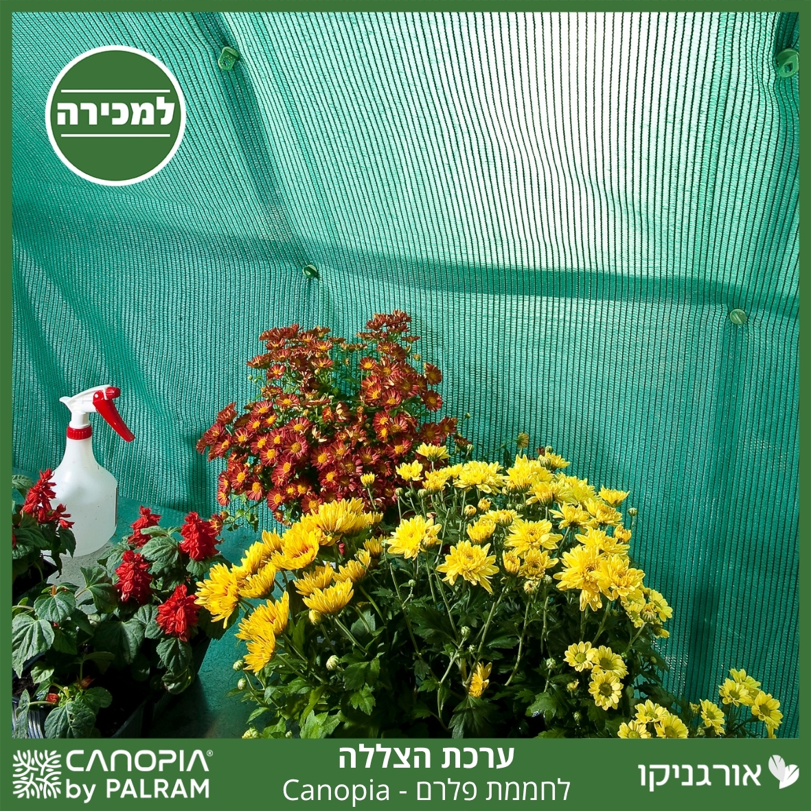 ערכת הצללה לחממת פלרם - Canopia