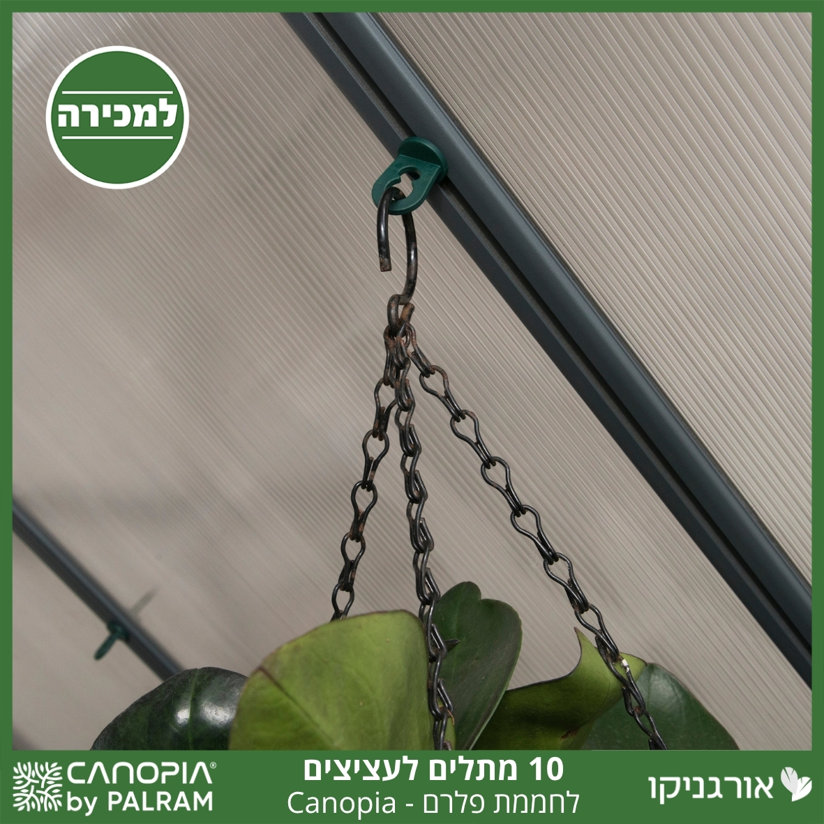 ערכת 10 מתלי עציצים לחממת פלרם - Canopia