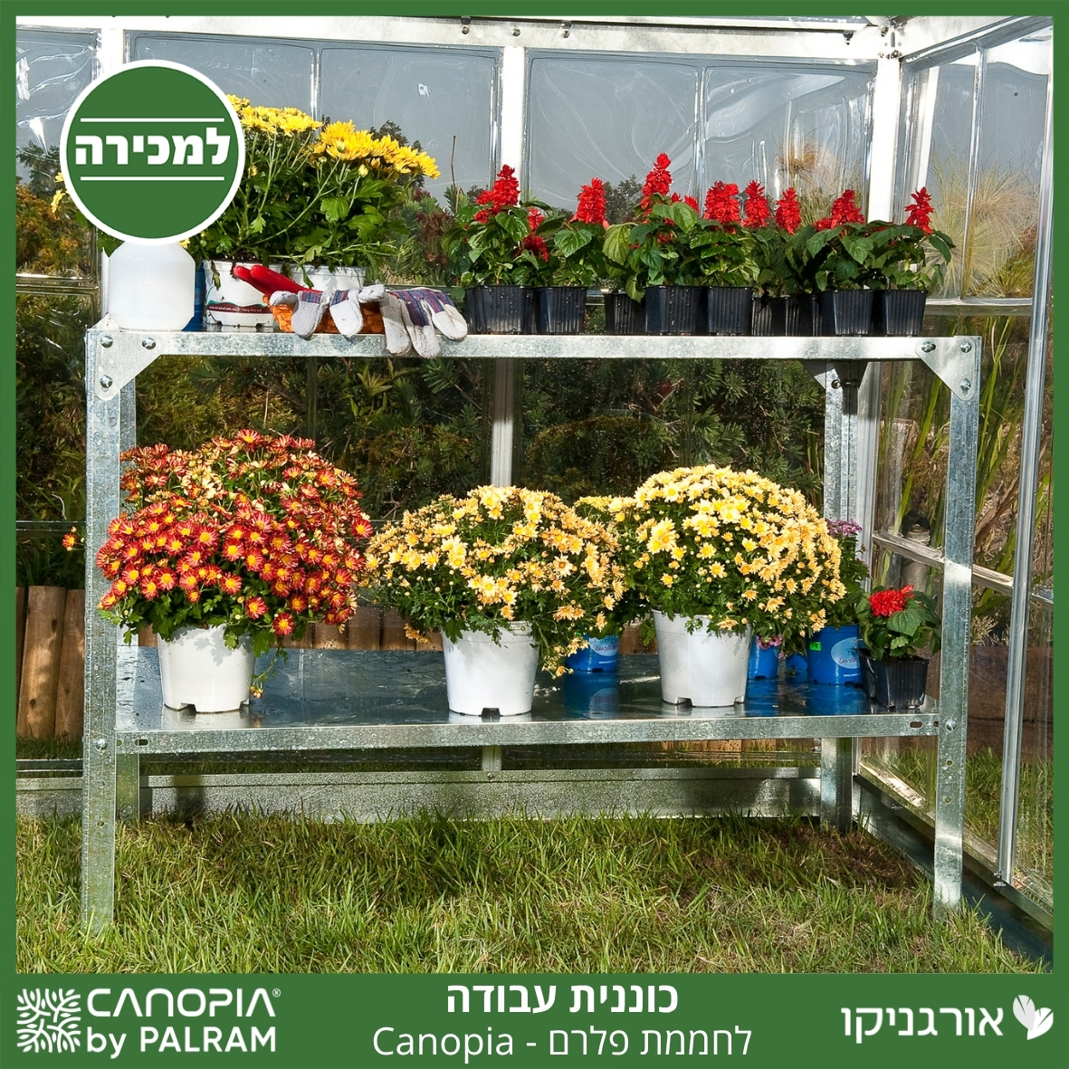כוננית עבודה לחממה מבית פלרם - Canopia
