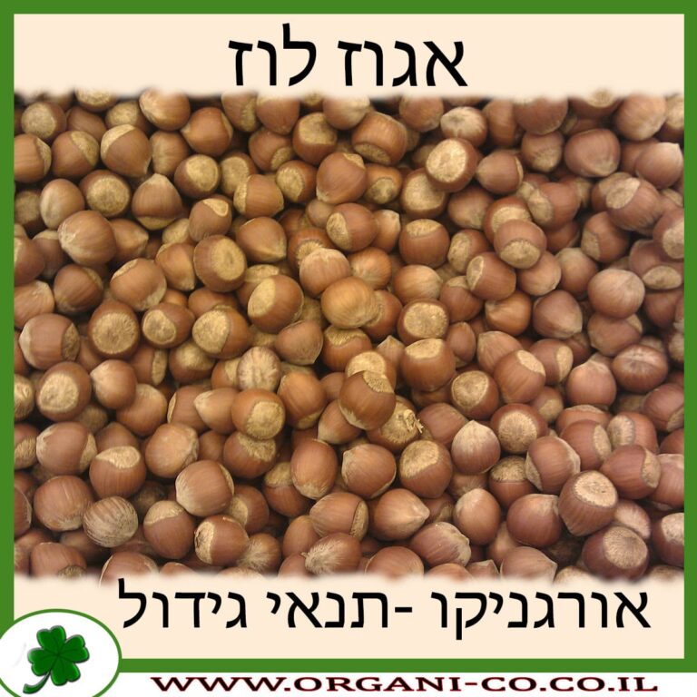 אגוז לוז