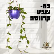 בת שבע קרנוסה למכירה - מחיר